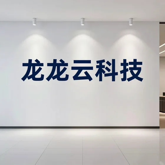 龙云科技